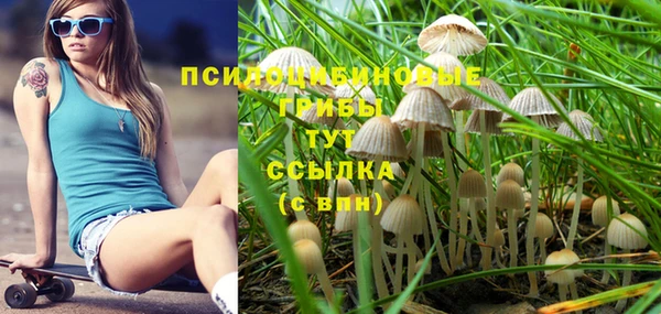 мдпв Арсеньев