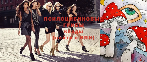 крисы Аркадак