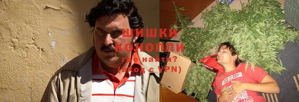 крисы Аркадак
