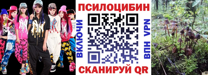 Галлюциногенные грибы Magic Shrooms  дарк нет Telegram  Бийск  гидра как зайти 