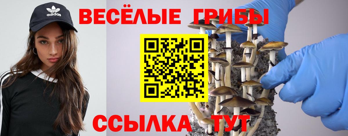 Псилоцибиновые грибы прущие грибы  Псилоцибиновые грибы Cubensis  Вход с VPN  Бийск 